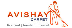 Avishay Carpet Cleaning, Upholstery and More...